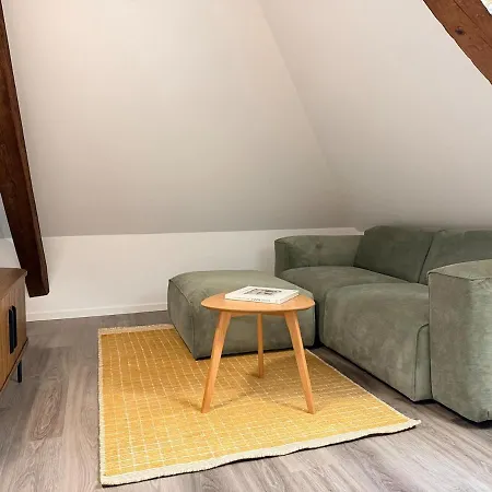 Bird Appartement Zürich