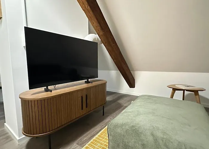 Apartament Bird Zurych