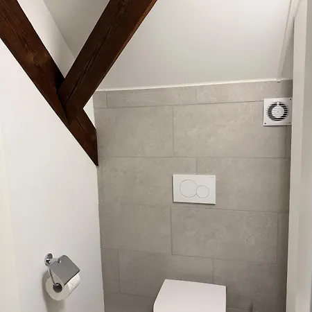 Apartment Bird