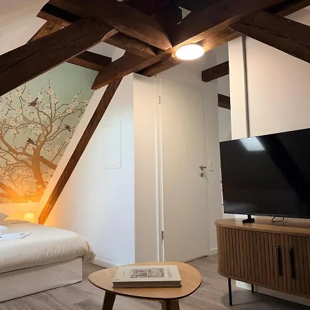 Bird Apartment *