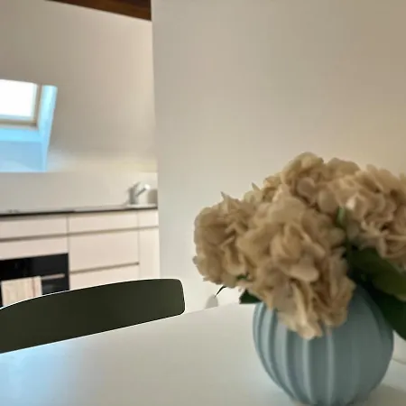 Bird Apartment